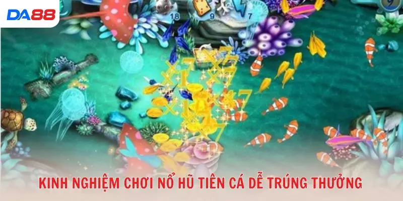 Kinh nghiệm chơi nổ hũ tiên cá dễ trúng thưởng